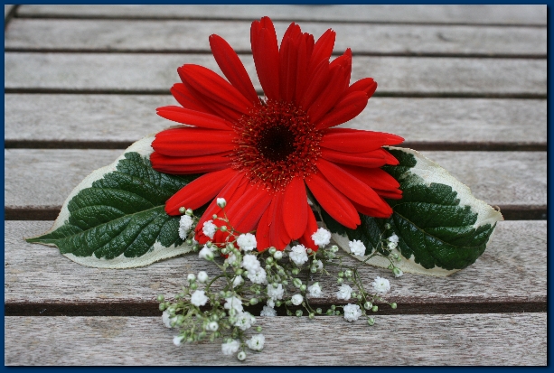 600x399 pixels (243K)