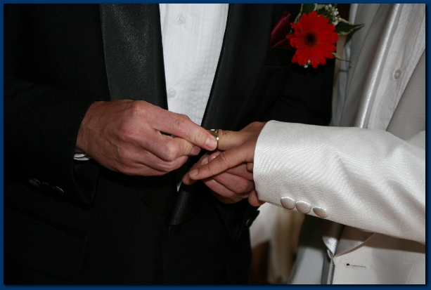 600x399 pixels (169K)