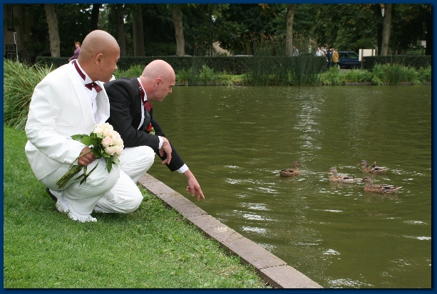 600x399 pixels (253K)